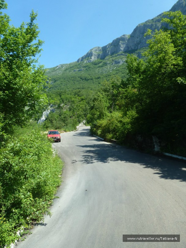 photo 785178