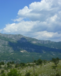 photo 806873