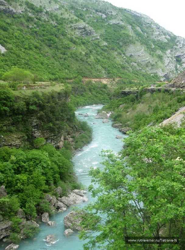 photo 792489