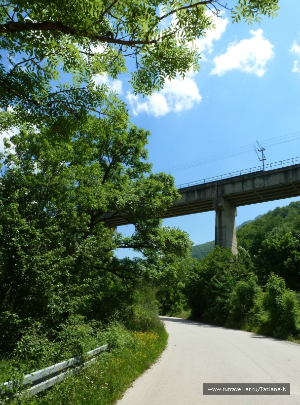 photo 809017