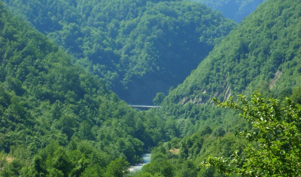 P1130363