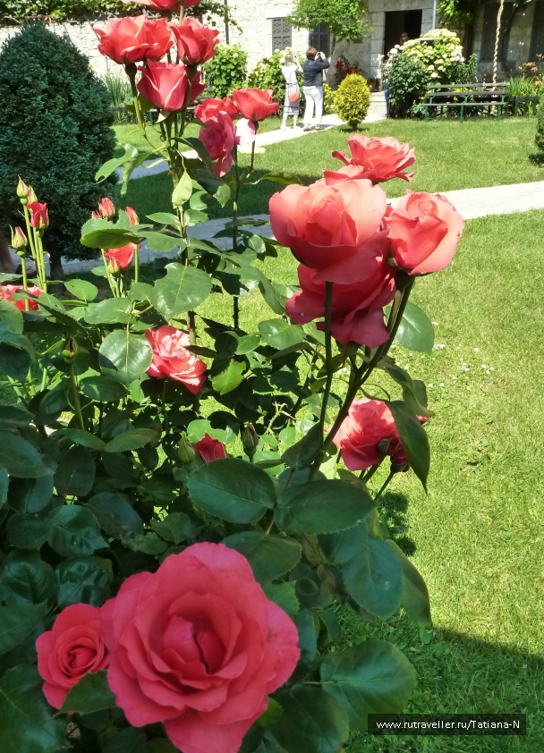 photo 809434