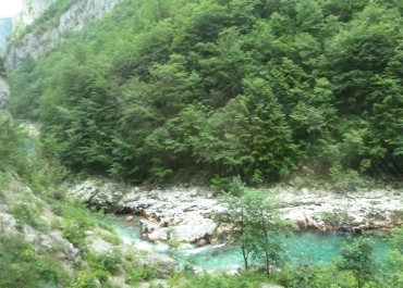 photo 810946