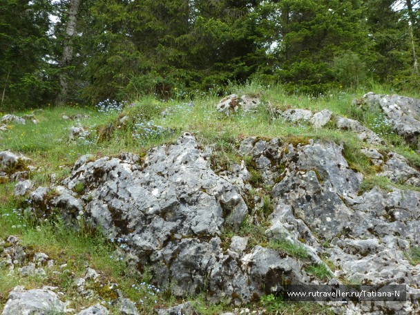 photo 815521