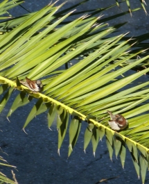 photo 772252
