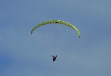 photo 772253