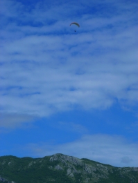 photo 772254