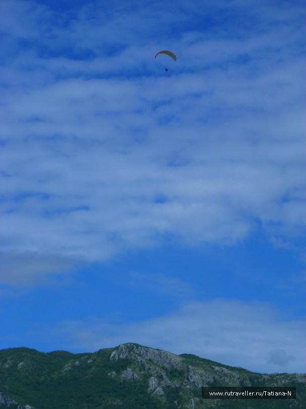photo 772254