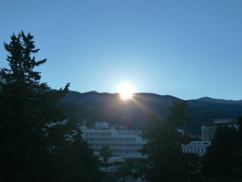 photo 772256