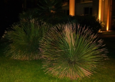 photo 772257