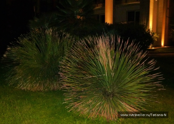 photo 772257