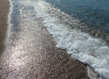 photo 782699
