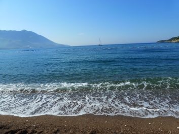 photo 782700