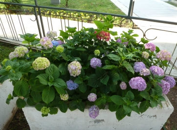 photo 788975