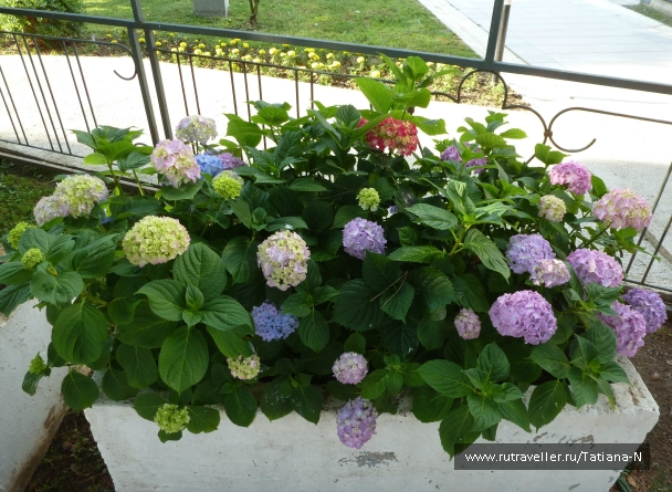 photo 788975