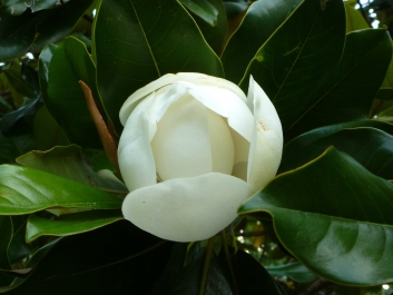 photo 788976