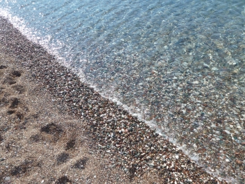 photo 790324