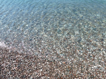 photo 790326