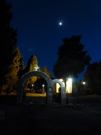 photo 790339
