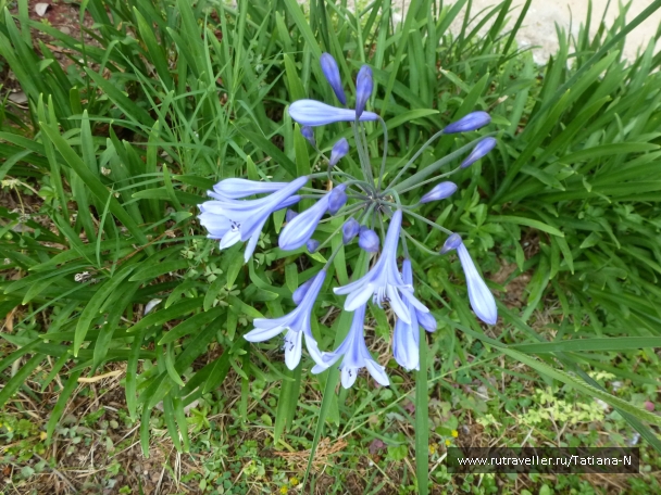 photo 794328