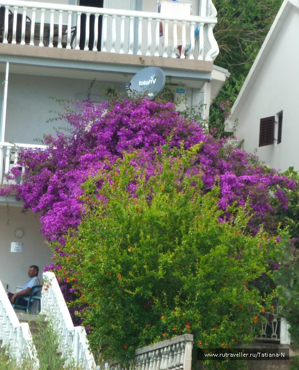 photo 794329