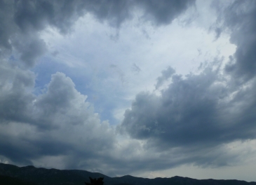 photo 796716