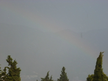 photo 796741