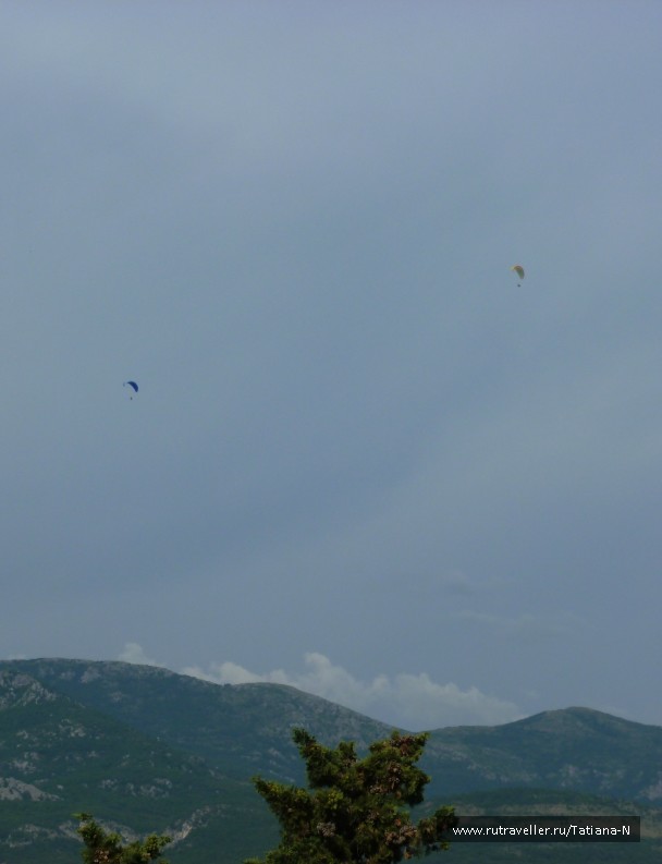 photo 796810