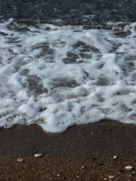 photo 796818