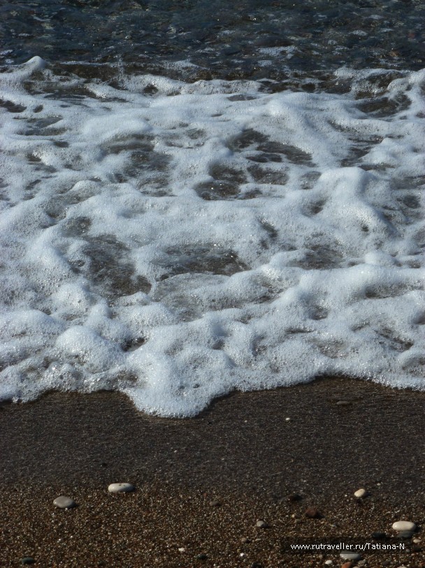 photo 796818