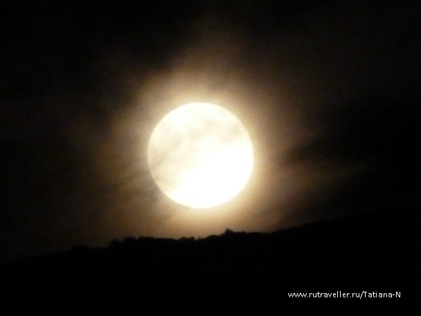 photo 797984