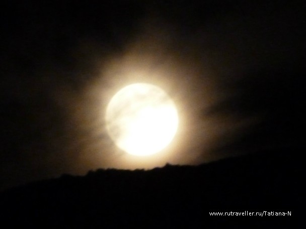 photo 797985