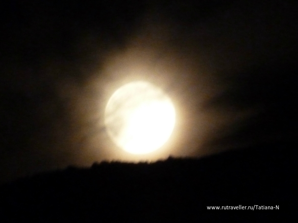 photo 797986