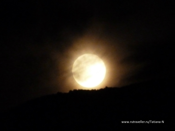 photo 797987