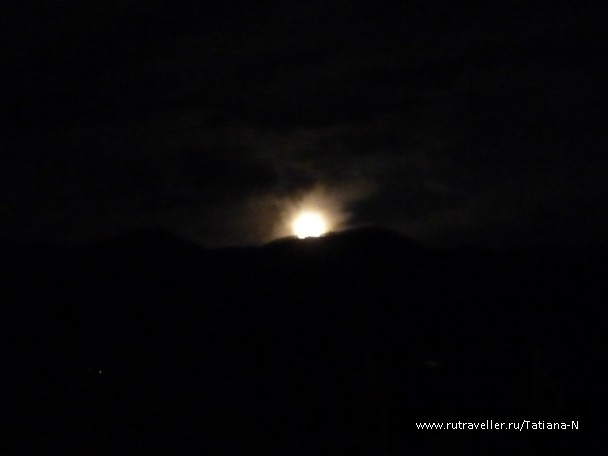 photo 797989