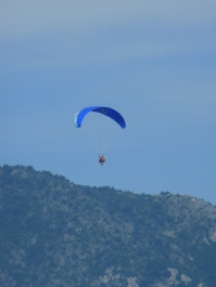 photo 797990