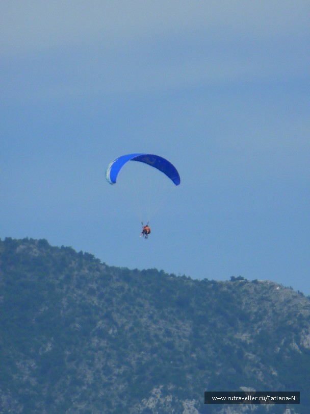photo 797990