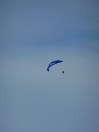 photo 797994