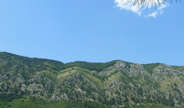 P1120796