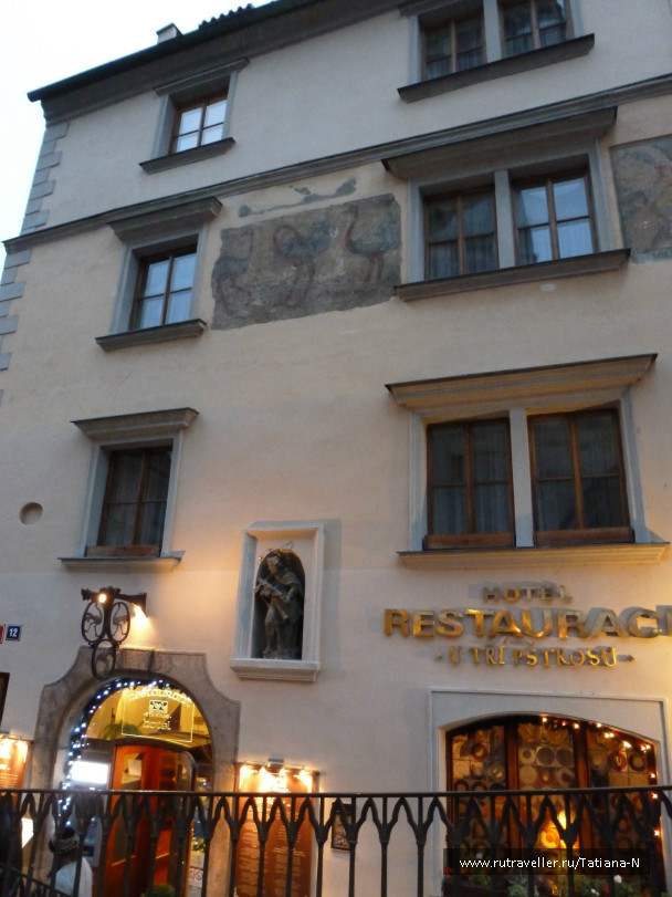 photo 995964