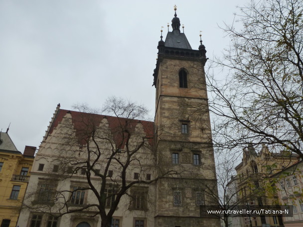 photo 1122547