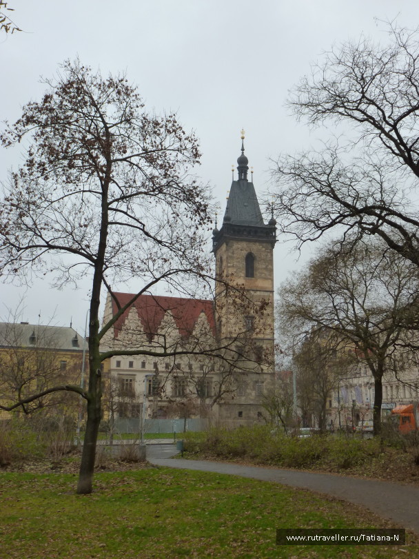 photo 1122549