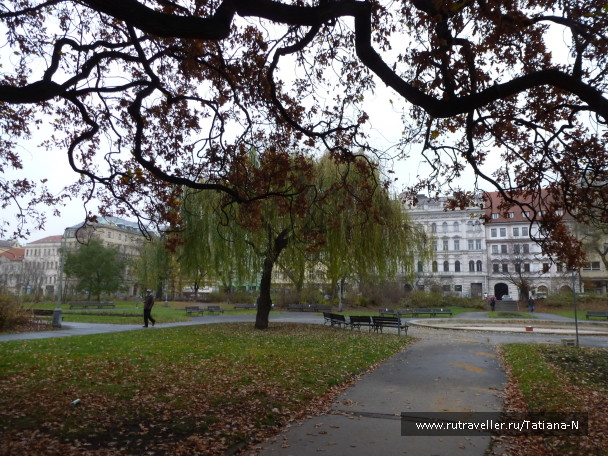 photo 1122550