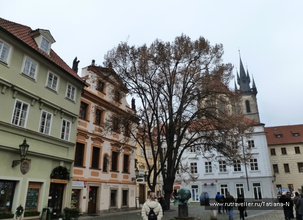 photo 956726