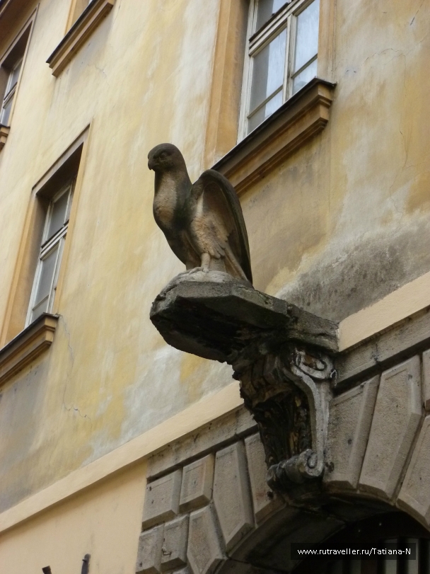 photo 956728