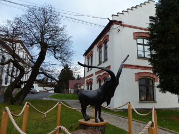 photo 1111930