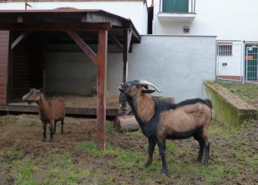 photo 1111932