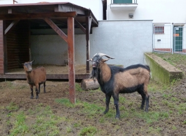 photo 941429
