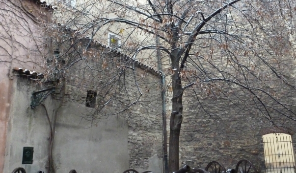 P1150992