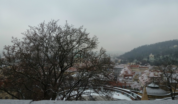 P1150782